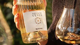 Dégustation de vins à Ruffino Poggio Casciano