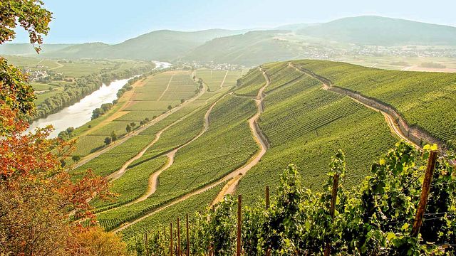 Weinprobe und Führung im Weingut Karp-Schreiber