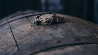 Private Führung und Verkostung von Calvados und Gin