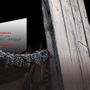 Domaine Jean-René Germanier - Valaisan Aperitif & Wine Tasting Tour at ...