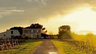 Château Le Bourdieu