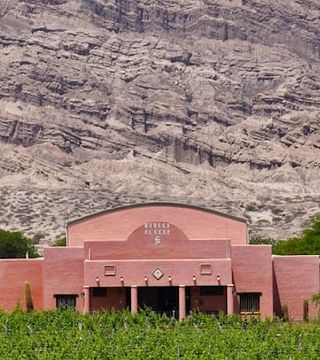 Weinprobe und Tour in der Bodega El Cese