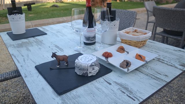 Dégustation de vins et fromages de Majorque