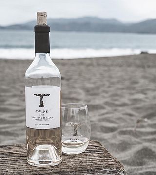 Dégustation de vins et visite du domaine viticole T-Vine