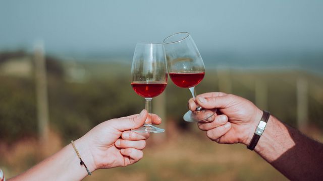 Dégustation de vins végétaliens ou végétariens à Gringhigna - Azienda Agricola Ivaldi par Roberta Bruno