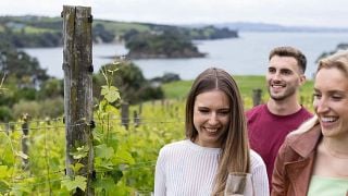 Cable Bay Vineyards