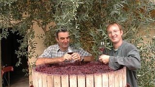 Domaine Rocheville: A Hidden Gem in the Rhône Valley