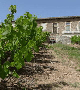 Domaine du Tane