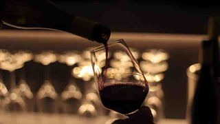 Wine Tasting and Tour at El Peco Bodegas Y Enoturismo