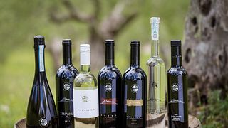 Jantar de harmonização de comida e vinho artesanal no Conti di San Bonifacio