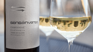 Les Quatre Magnifiques – Expérience Vin Blanc bio