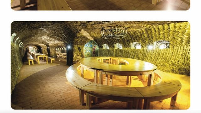 Degustação de vinhos na vinícola Gotz