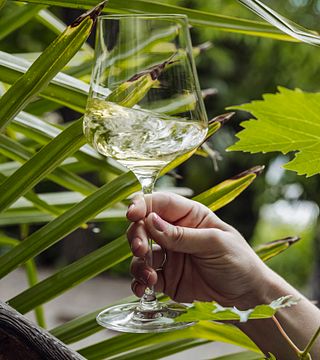 Cata de vinos en el Skywine Pavillion