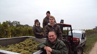 Visita e degustação de vinhos no Weingut Roman Schödl