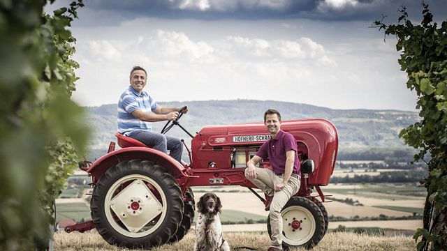 Lower Austria Vineyard & Cellar Wine Journey