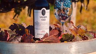 Dégustation de vins et visite à Vinaria Din Vale