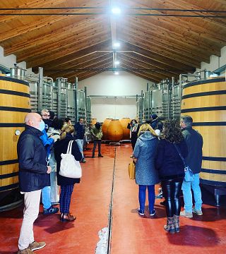 Wine Tasting at Bodega Finca Cor Vi