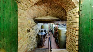 Degustazione di vini e visita al Weinbau Schreiber