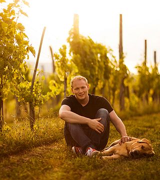 Degustazione di vini e tour presso Polic Estate Truske