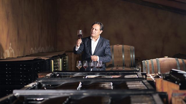 Bodegas Palacio De Lerma