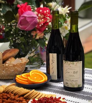 South's Sustainable Wine & Nature Tour