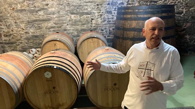 Vineyard Tour & Wine Tasting at Quinta dos Poços