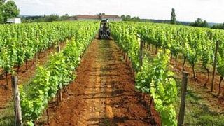 Domaine des Sangliers