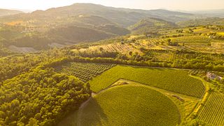 Umbria's Montefalco Wine & Winery Tour