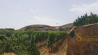 Degustação de vinhos e passeio na Tenute Soletta
