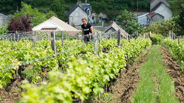 Clos Roussely
