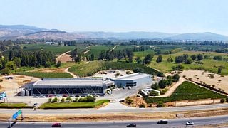Maule Valley personalized tour: vineyards, winery, bottling line and customizeable wine tasting.  Includes a presentation of the Chilean wine landscape.