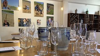 Pranzo e degustazione di vini a Weingut Gindorf
