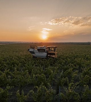 Vetrère Winery