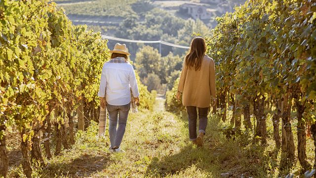 Sommelier's Finest Wine Tasting at Castello Vicchiomaggio