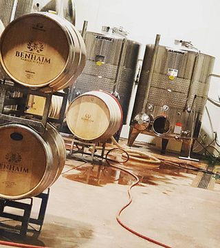 Cata de vinos en visita a la Bodega Benhaim