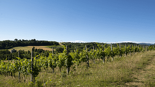 Agricola Villa Rosalba