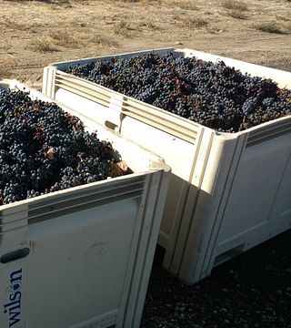 Hamilton Cellars