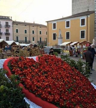 Azienda Agricola Il Seregno Di Lonardi Maurizio