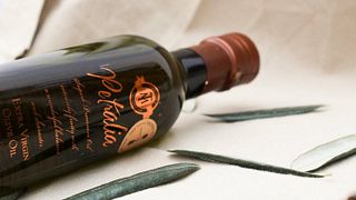 Entre viñedos y bodegas, visita y cata de vinos