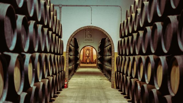 Production of young wines + Sherry Casks and Sherry vinegars + Museum + Tasting