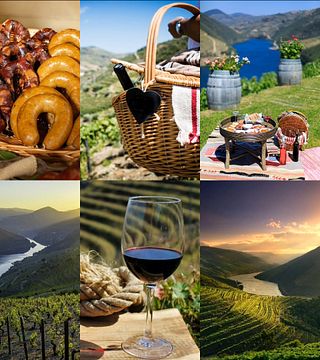 Tour de Degustação de Vinhos do Douro