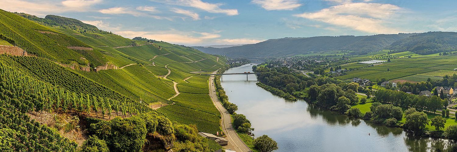 Stairs N' Roses - Moselpanorama Aus Dem Erdener Treppchen Mit Blick Richtung Kinheimer Rosenberg