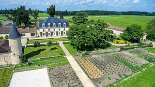 Château Guiraud