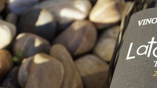 Premium-Weinprobe in der Bodega Latarce