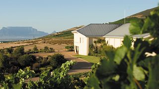 Degustação de vinhos e tour na Capaia Wines