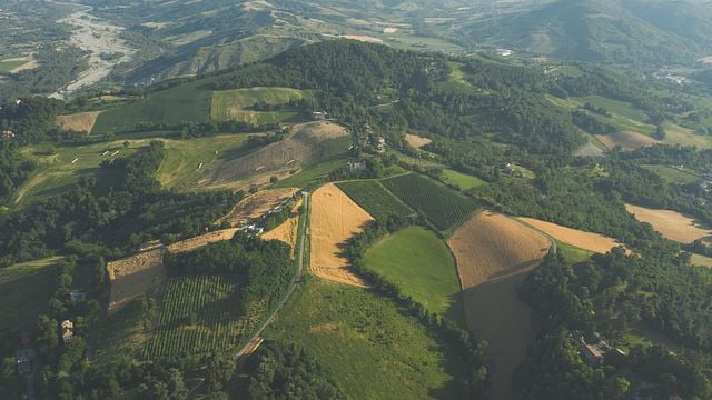Visite à pied dans les vignobles et dégustation guidée chez Oinoe La Città del Vino