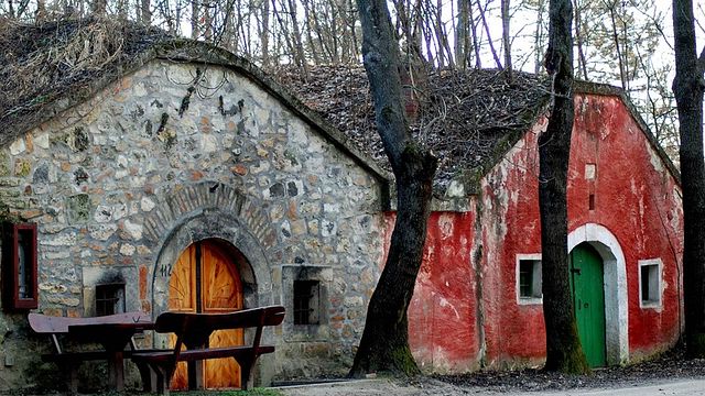 Lantlig vinprovning från Budapest