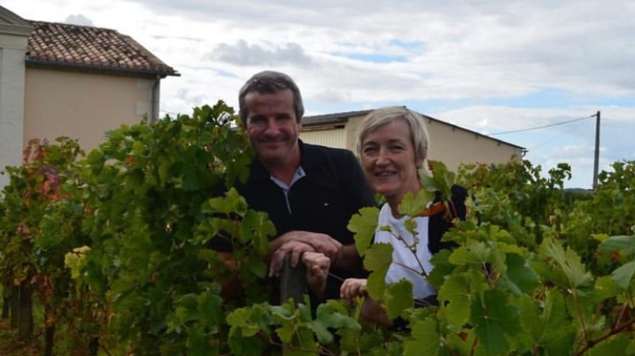 Degustazione di vini e visita al vigneto presso lo Château Haut Gaussens
