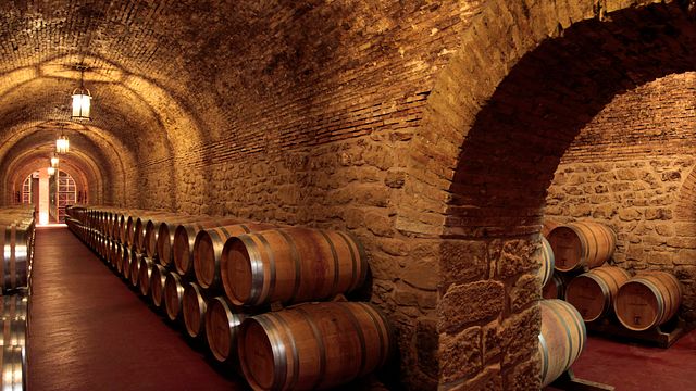 Degustazione di vini e visita alle Bodegas Riojanas