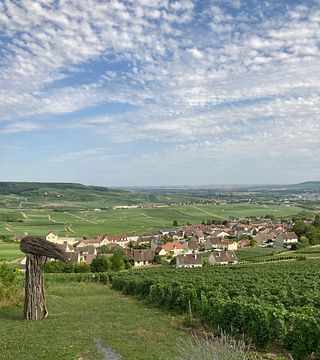 Tournée des amateurs de champagne